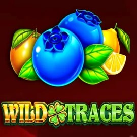 Wild Traces slot visual from Amusnet Interactive available on ggbett.org